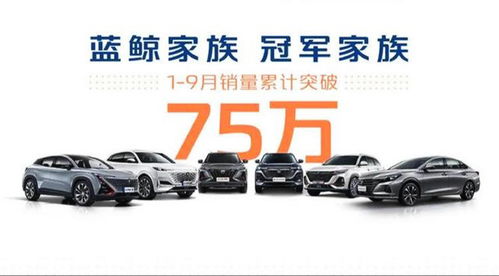 讓人放心的 大塊頭 ,比探岳大一圈,搭 冠軍動(dòng)力 頂配13萬(wàn)多